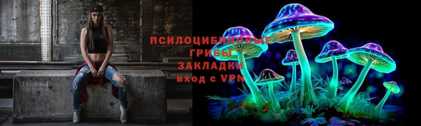 гидропоника Зерноград