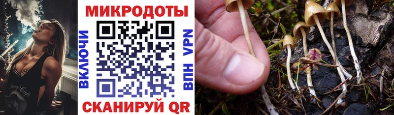 Галлюциногенные грибы GOLDEN TEACHER  Купить закладки  Нурлат 
